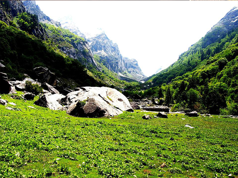 Deo Tibba Base