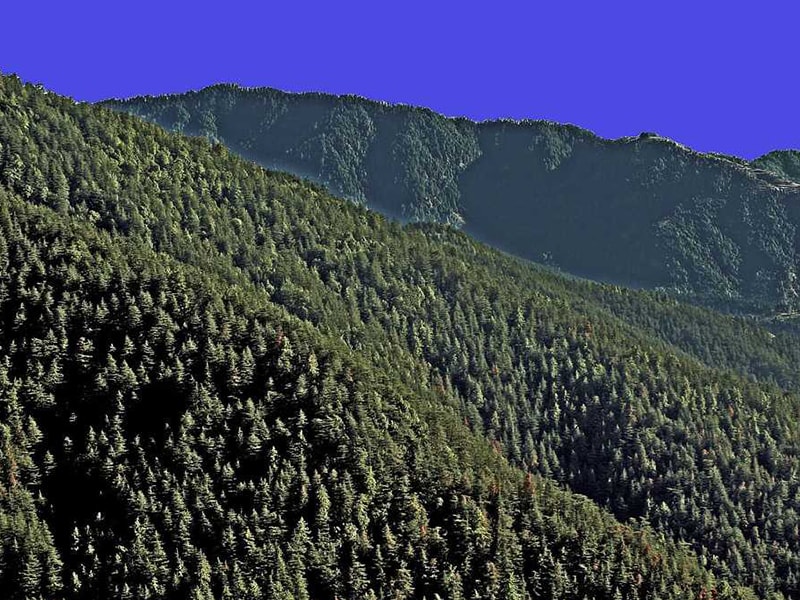Green valley