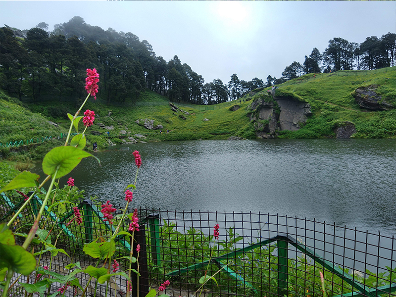Jibhi