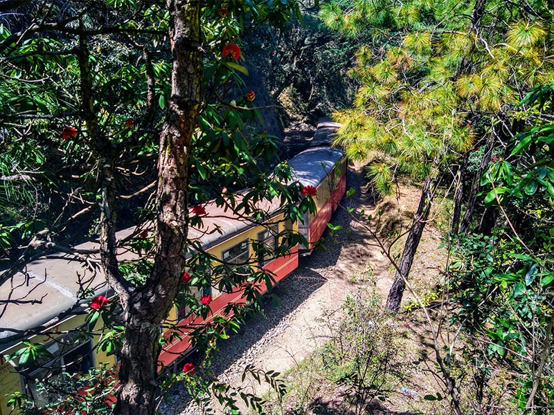 Kalka-Shimla train ride