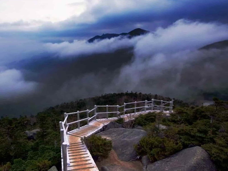 Kasauli