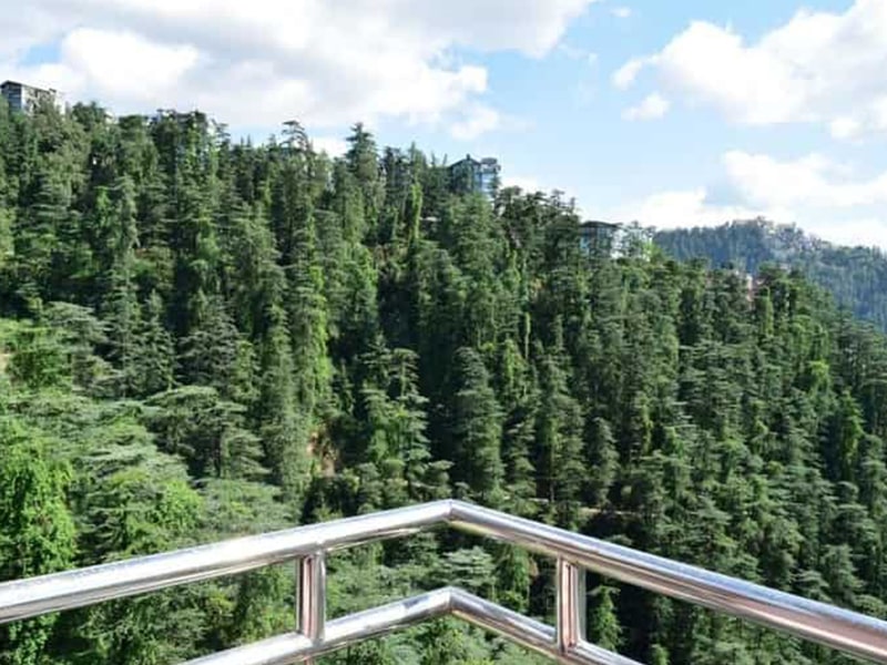 Kiala Forest
