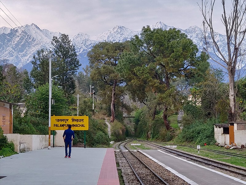 Palampur