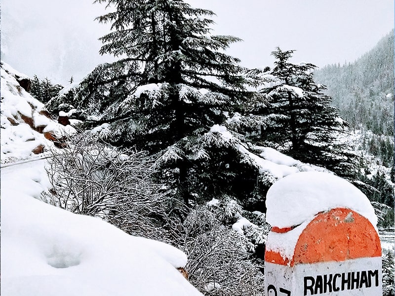 Kasauli