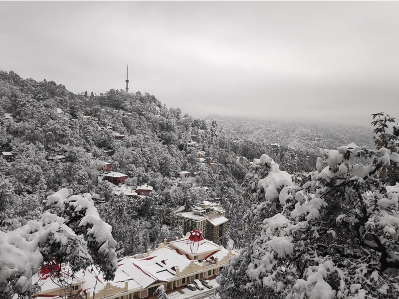 Shimla