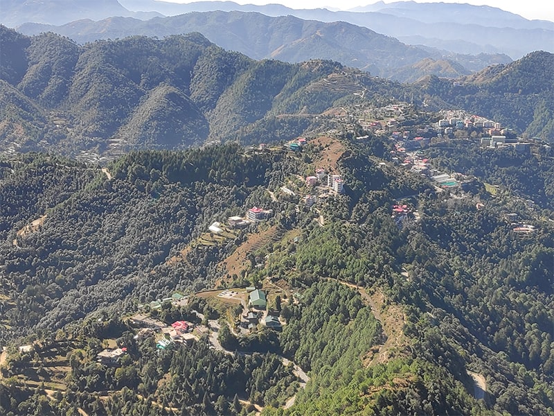 Shoghi